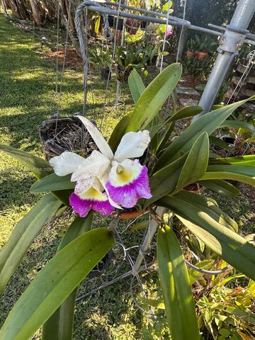 20501 NW 30th Ave, Miami Gardens, FL 33056