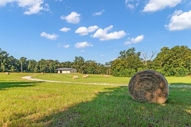 251 Roy Webb Road, Huntsville, TX 77320