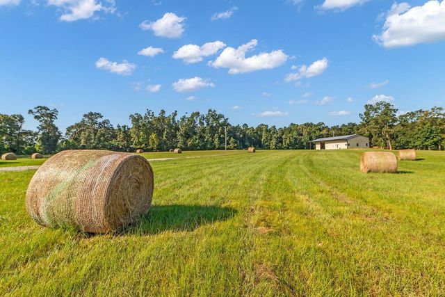251 Roy Webb Road, Huntsville, TX 77320