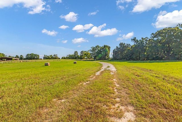 251 Roy Webb Road, Huntsville, TX 77320