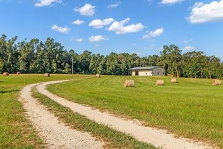 251 Roy Webb Road, Huntsville, TX 77320