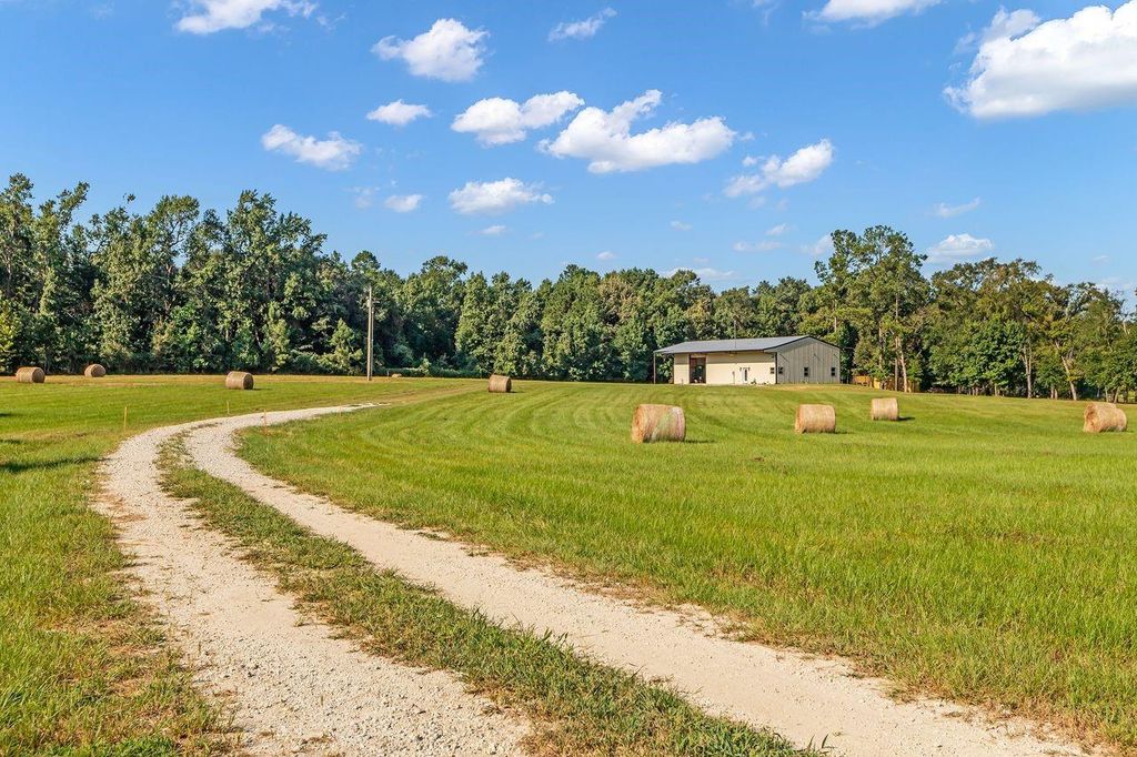 251 Roy Webb Road, Huntsville, TX 77320