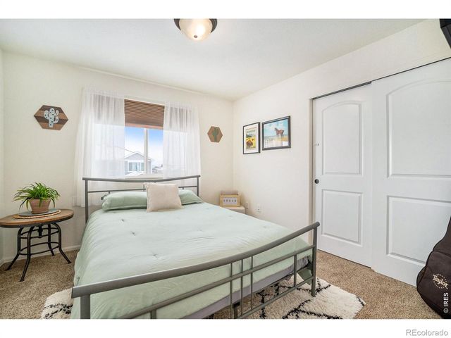 2137 Day Spring Drive, Windsor, CO 80550