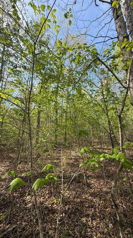 0 Owl Hollow Road Lot 1, Palmer, TN 37365