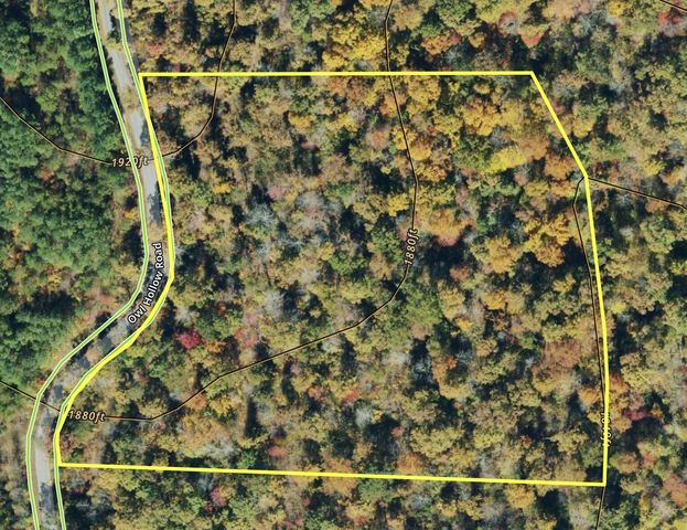 0 Owl Hollow Road Lot 1, Palmer, TN 37365