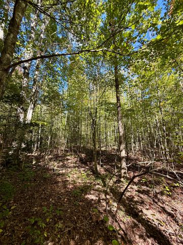 0 Owl Hollow Road Lot 1, Palmer, TN 37365