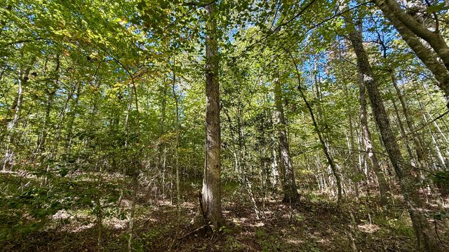 0 Owl Hollow Road Lot 1, Palmer, TN 37365