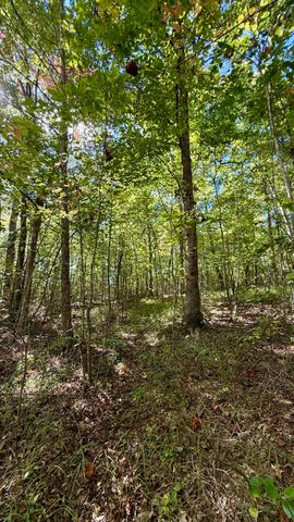 0 Owl Hollow Road Lot 1, Palmer, TN 37365