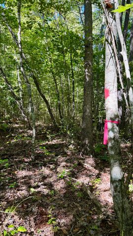 0 Owl Hollow Road Lot 1, Palmer, TN 37365