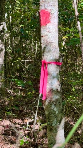 0 Owl Hollow Road Lot 1, Palmer, TN 37365
