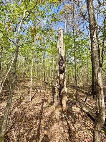 0 Owl Hollow Road Lot 1, Palmer, TN 37365