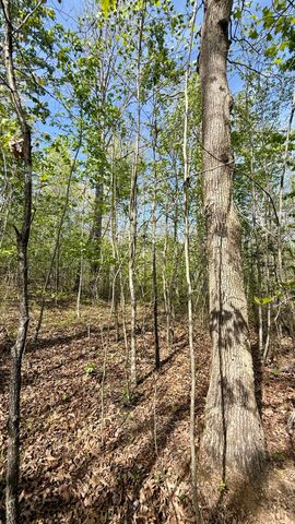 0 Owl Hollow Road Lot 1, Palmer, TN 37365