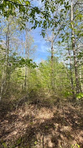 0 Owl Hollow Road Lot 1, Palmer, TN 37365