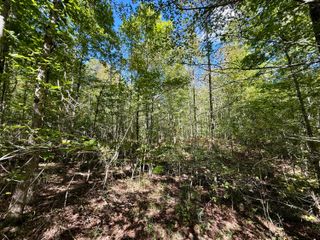 0 Owl Hollow Road Lot 1, Palmer, TN 37365