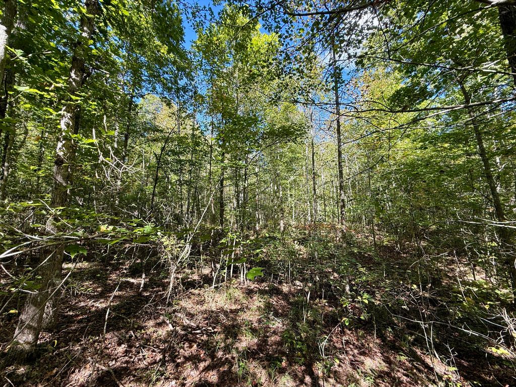 0 Owl Hollow Road Lot 1, Palmer, TN 37365