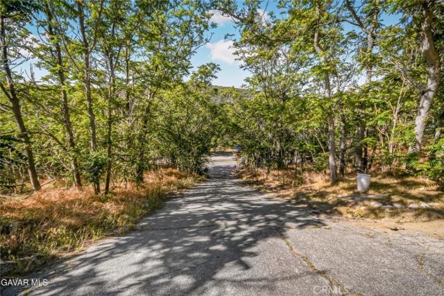43714 Log Cabin Trl, Lake Hughes, CA 93532