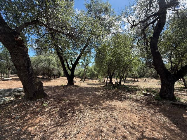 12333 Quartz Hill Road, Redding, CA 96003