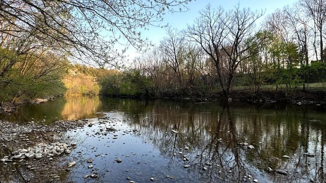 1008 SHIPWRECK DR, New Market, VA 22844
