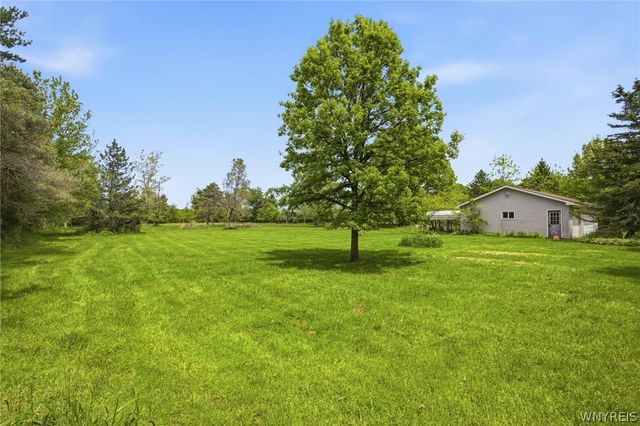 12318 Buckwheat Road, Newstead, NY 14001