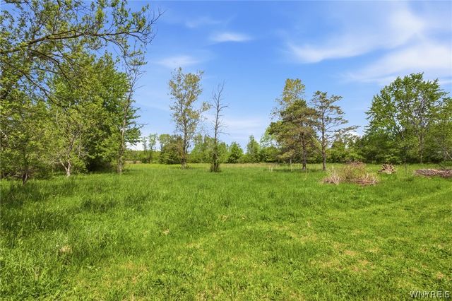 12318 Buckwheat Road, Newstead, NY 14001