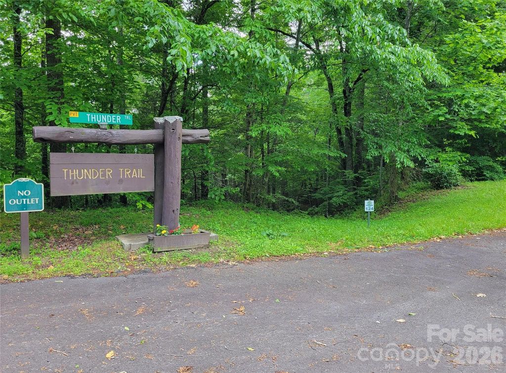 TBD Bear River Lodge Trail 124, Marshall, NC 28753