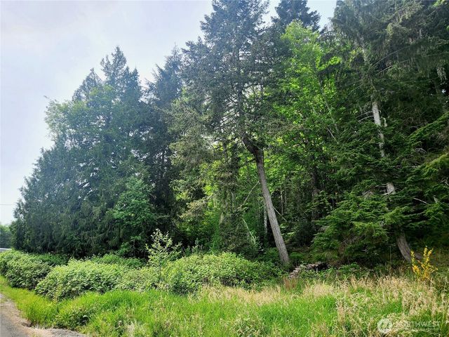 71 & 81 N Mardell Avenue, Hoodsport, WA 98548