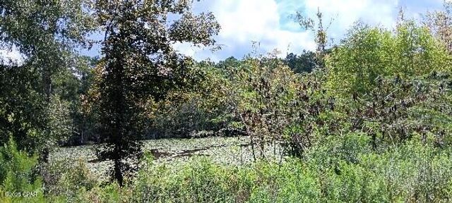 2006 Posey Acres Road, Chipley, FL 32428