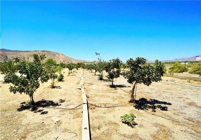 14993 Broadway, Cabazon, CA 92230