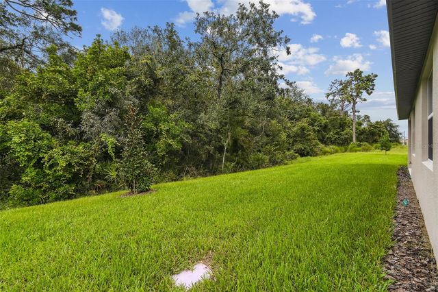 11303 STRIPED BASS COURT, New Port Richey, FL 34654