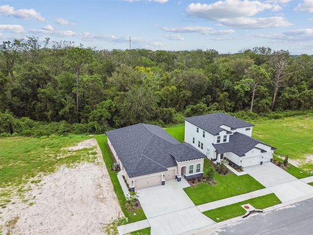 11303 STRIPED BASS COURT, New Port Richey, FL 34654