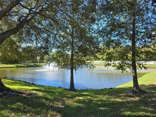 10114 WESTPARK PRESERVE BOULEVARD, Tampa, FL 33625