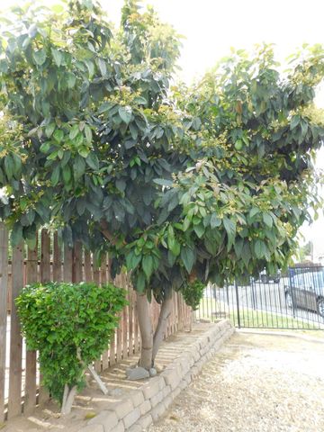 4812 Gregerson Ct, Salida, CA 95368