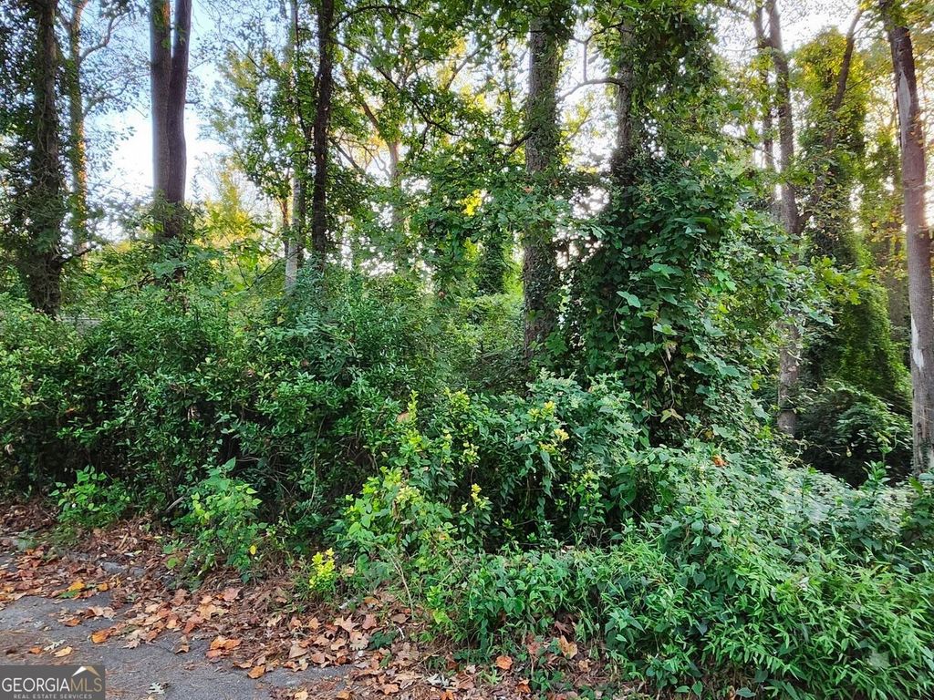523 Spruce Drive, Pine Lake, GA 30072 — photo 3