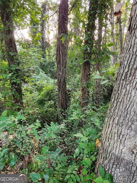 523 Spruce Drive, Pine Lake, GA 30072 — photo 4