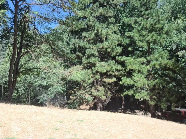 24814 Edelweiss, Crestline, CA 92325