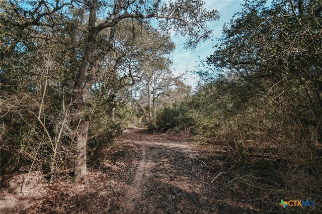 Tract E Vitek Lane, Inez, TX 77968