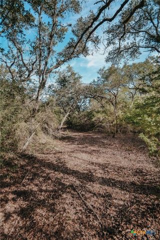 Tract E Vitek Lane, Inez, TX 77968