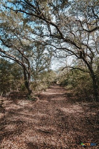Tract E Vitek Lane, Inez, TX 77968