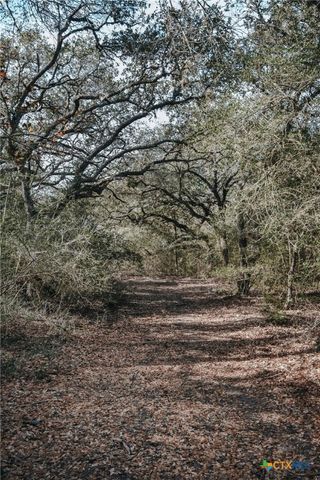 Tract E Vitek Lane, Inez, TX 77968