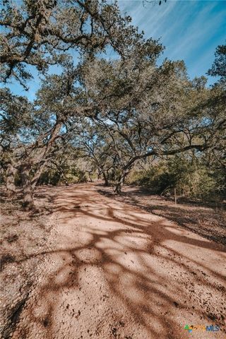 Tract E Vitek Lane, Inez, TX 77968