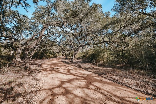 Tract E Vitek Lane, Inez, TX 77968