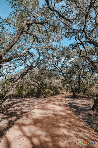 Tract E Vitek Lane, Inez, TX 77968