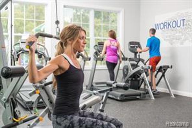 50584 Telluride, Canton Charter Township, MI 48187