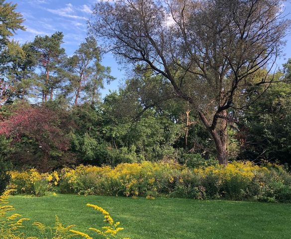 3155 La Salle Drive, Ann Arbor, MI 48108