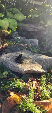 100 Broadway, Loveland, OH 45140