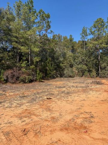 0 Wild Hare Lane, Crestview, FL 32539