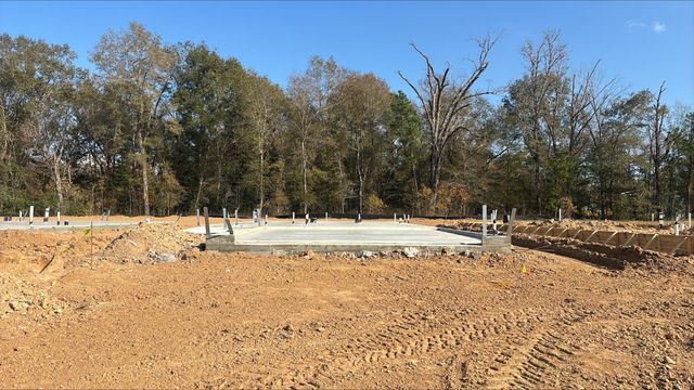 20907 Wildbird Cherry Lane, Porter, TX 77365