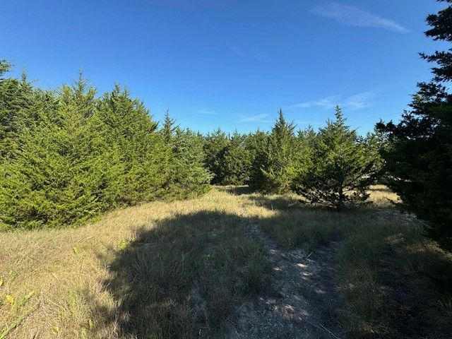 TBD Sister Grove Road, Van Alstyne, TX 75495