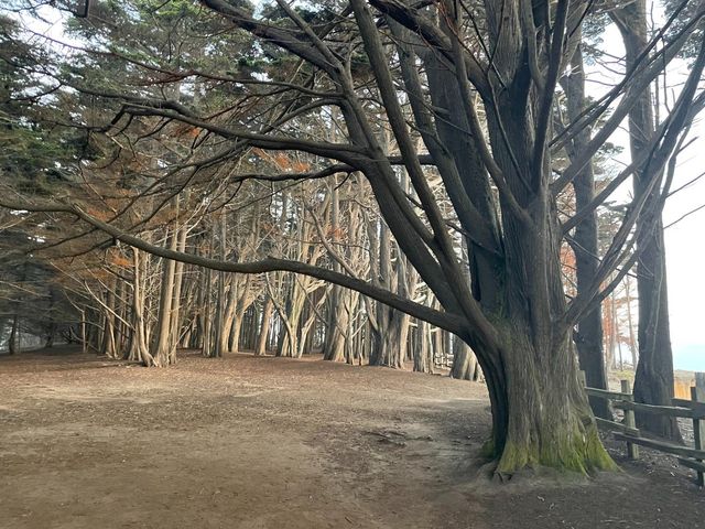 855 Sierra Street, Moss Beach, CA 94038