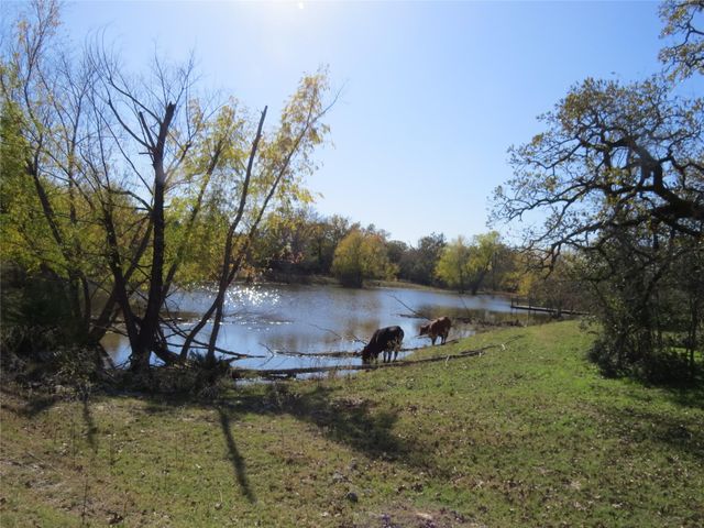 7538 Rocky Ridge Lane, Madisonville, TX 77864